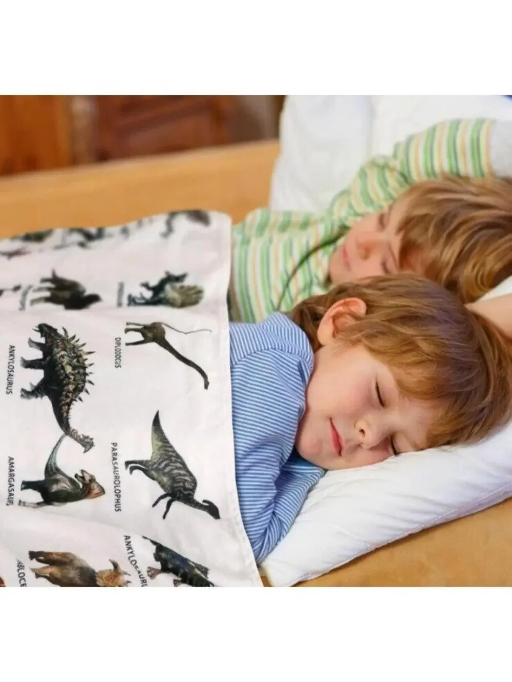 Jurassic Dinosaur Blanket Labeled for Learning Boys Kids Cover, White 50x60, New